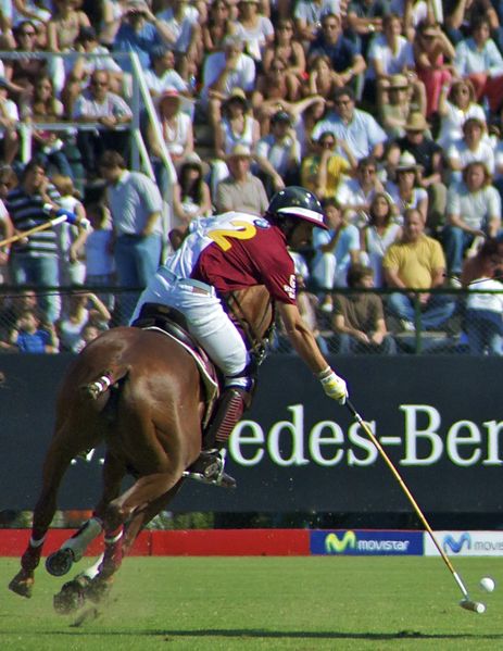 Soubor:Campeonato Argentino de Polo 2010 - 5236515585.jpg