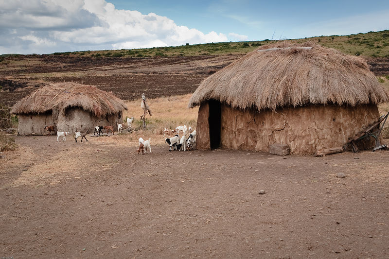 Soubor:Maasai boma-2 huts visible-Flickr.jpg