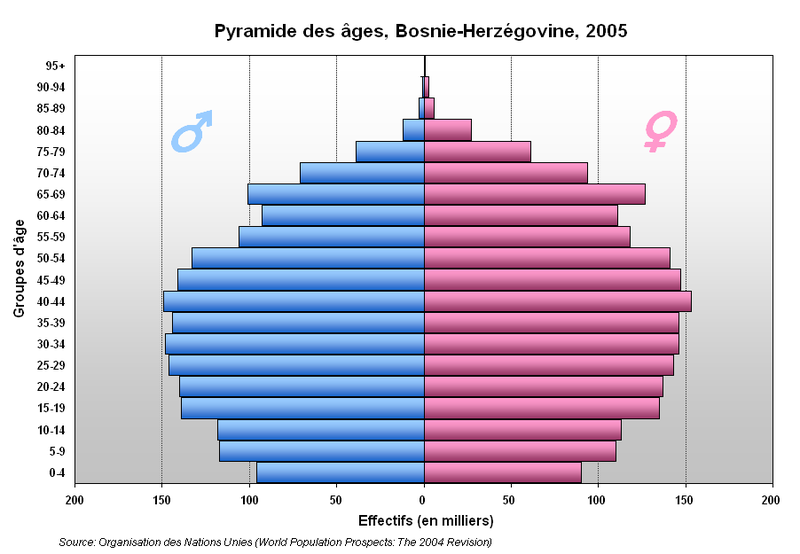 Soubor:Pyramide Bosnie-Herzegovine.PNG