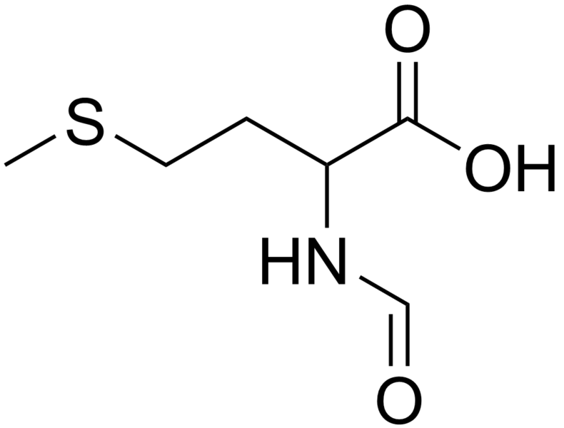 Soubor:N-Formylmethionine.png