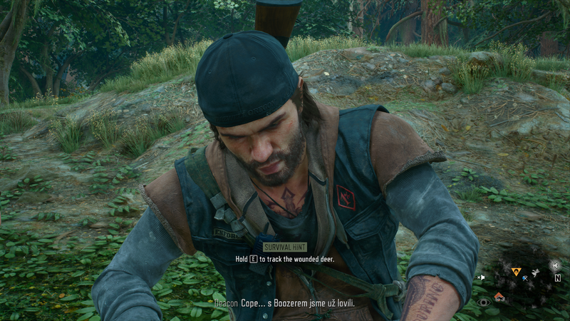 Soubor:DaysGone-2K-2024-78.png