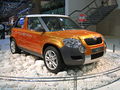 Skoda Yeti.jpg