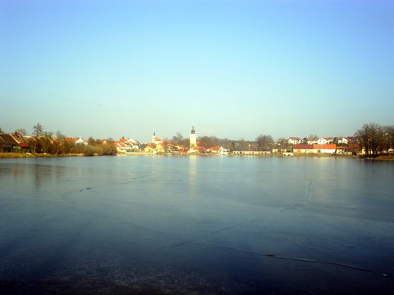 Soubor:Netolice-rigardo trans fisxlago Mnich.JPG