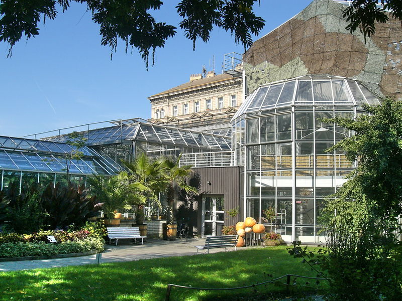 Soubor:Charles University Botanical Garden(greenhause).jpg