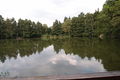 Labuť pond Kunratický forest Prague 14.JPG