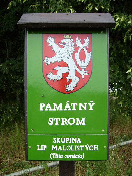 Soubor:Cedule pamatny strom.jpg