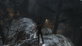 Tomb Raider GOTY-2013-044.png