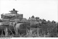 Bundesarchiv Bild 101I-219-0562A-06, Russland, Kolonne mit Panzer III.jpg