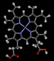 Náhled verze z 23. 7. 2015, 02:44