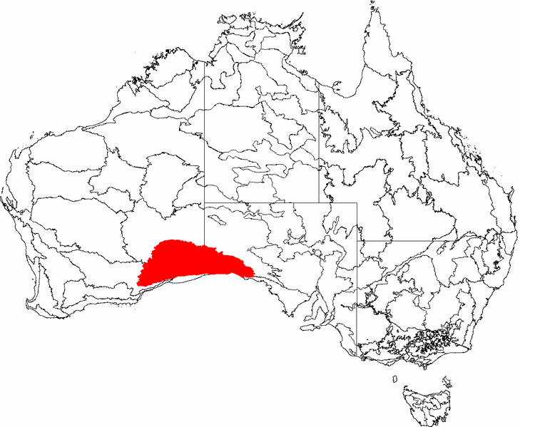 Soubor:IBRA 6.1 Nullarbor.png