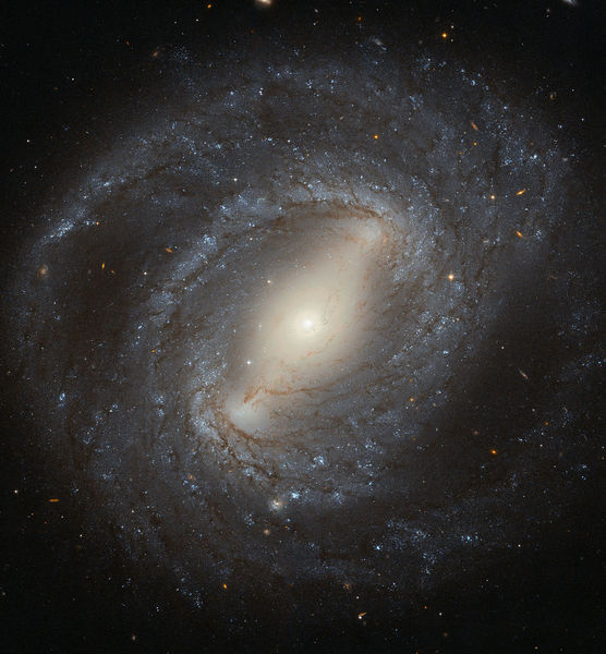 Soubor:Hubble spies NGC 4394.jpg