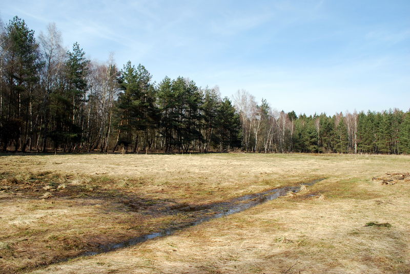 Soubor:Rašeliniště Hovízna (12).JPG