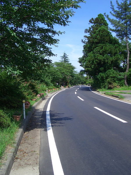 Soubor:Road in niigata.jpg