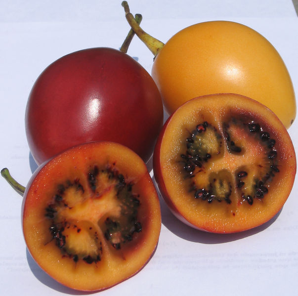 Soubor:Tamarillos.jpg