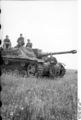 Bundesarchiv Bild 101I-220-0602-17, Russland-Mitte-Süd, Sturmgeschütz III.jpg