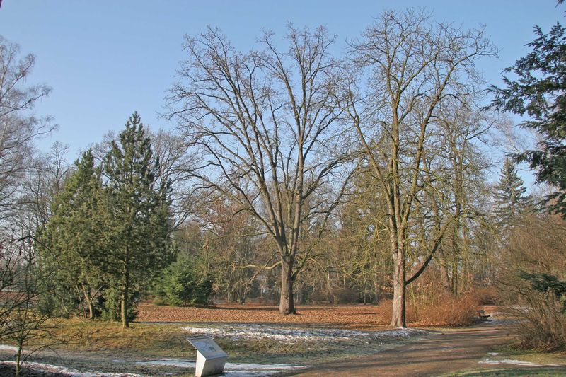 Soubor:Lázeňský park.jpg