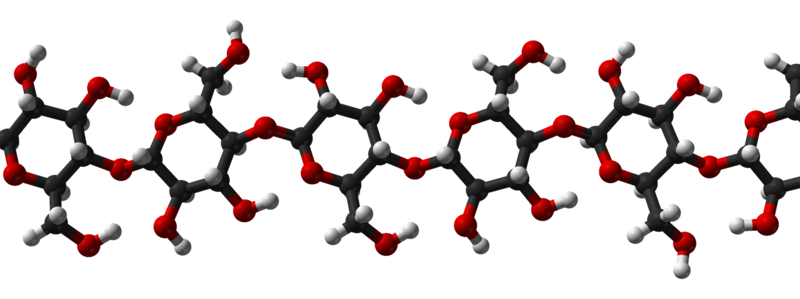 Soubor:Cellulose-Ibeta-from-xtal-2002-3D-balls.png