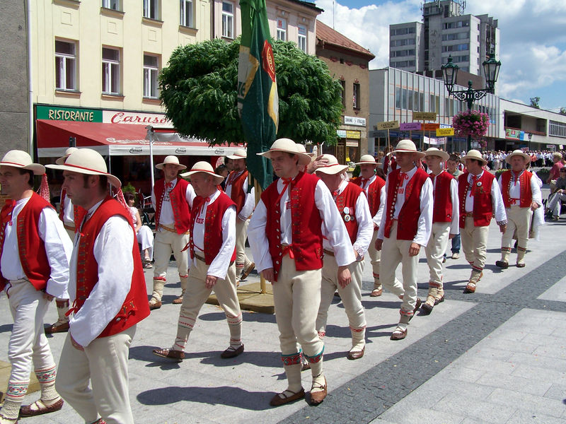 Soubor:Festiwal pzko 1078.jpg