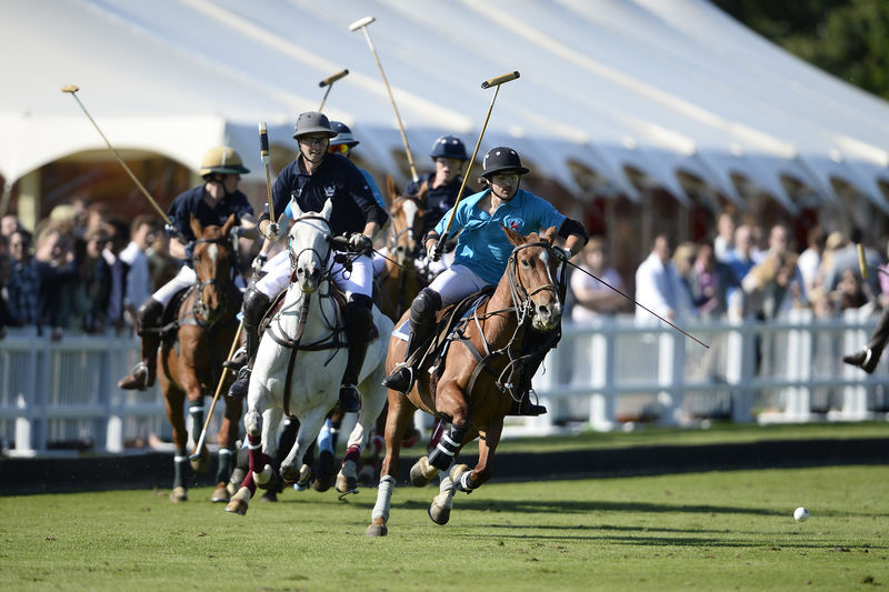 Soubor:Varsity Polo 2013.jpg