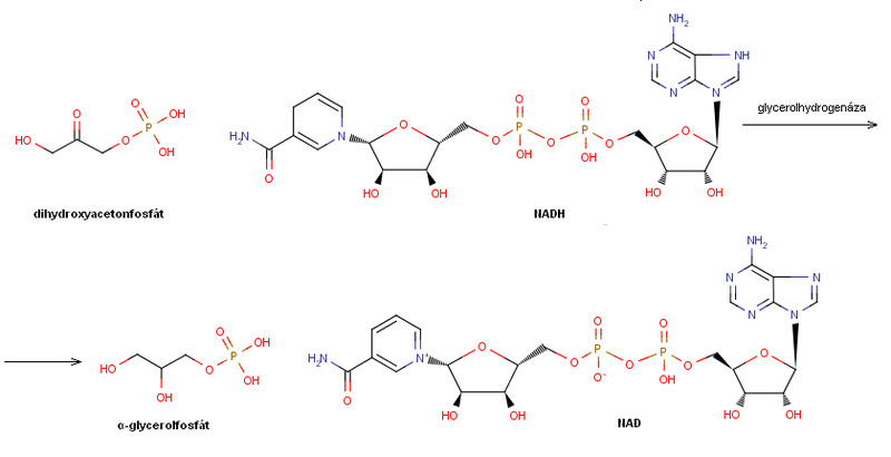 Soubor:Dihydroxyaceton-glycerol.PNG