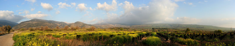 Soubor:Golan 357PAN.jpg